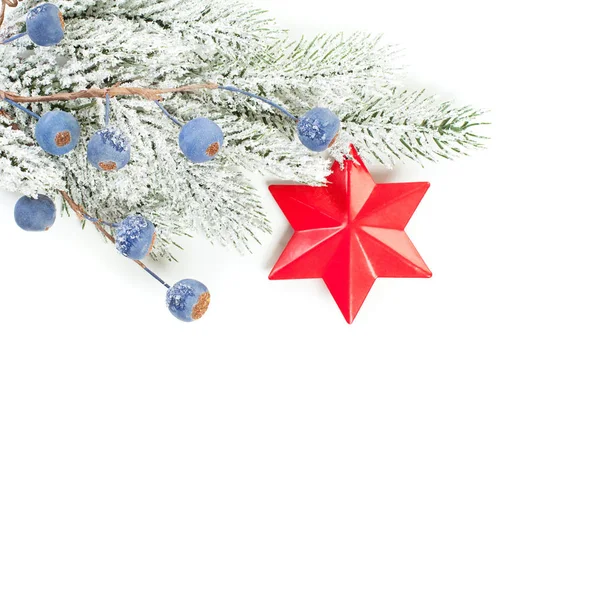 크리스마스 국경입니다. 녹색 전나무 가지, 붉은 별과 블루 베리 — 스톡 사진