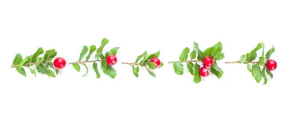 圣诞节冬青浆果和绿叶花环隔离 — 图库照片