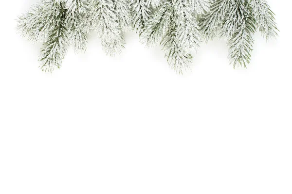 Frontera de ramas de árbol de Navidad. Invierno perenne rama de abeto aislado —  Fotos de Stock