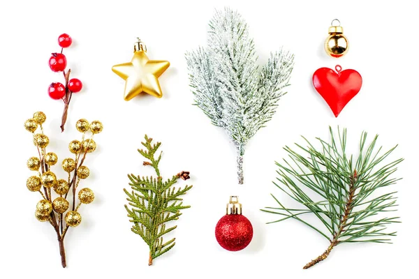 Krásná vánoční kompozice. Červené cesmíny, zlatá hvězda — Stock fotografie