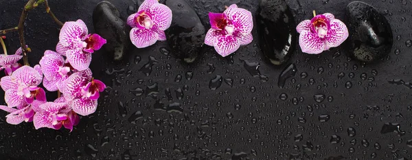 Mooie bloemige achtergrond met kopieerruimte. Roze orchidee bloemen — Stockfoto