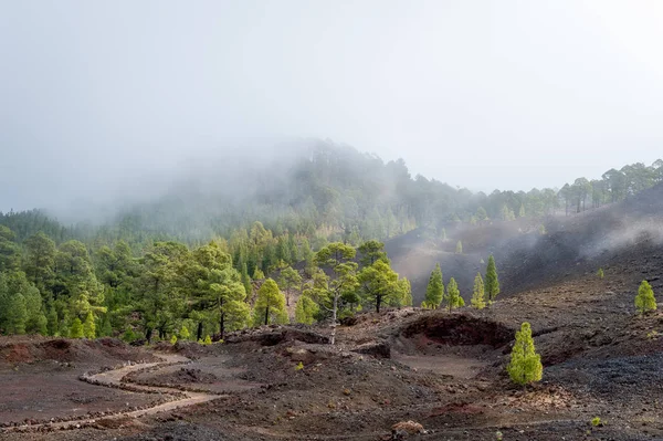 Mistige Chinyero vulkaan — Stockfoto