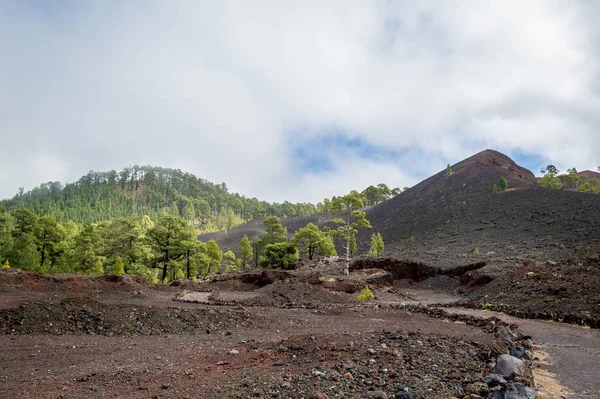 Svart vulkanisk sand kullar på Teide nationalpark. Teneriffa. — Stockfoto