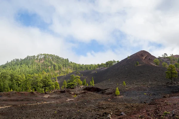 Vulkaniska landskapet i nationalparken Teide — Stockfoto