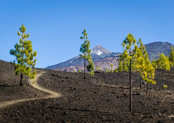 Attraktiva vulkan vandringsled. — Stockfoto