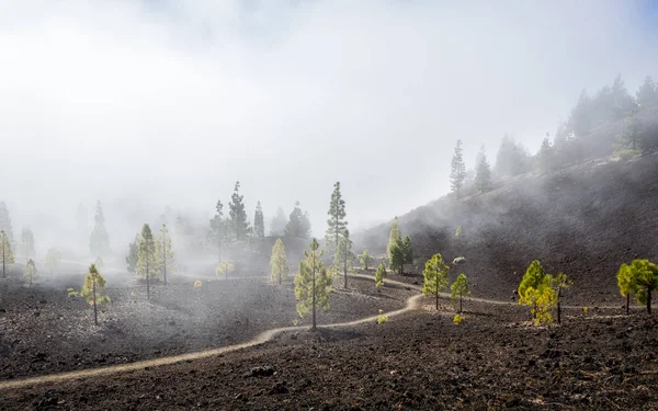 Samara sentieri di montagna nella nebbia — Foto Stock
