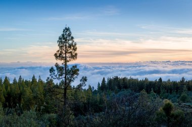 Alacakaranlık manzara bulutların üstünde
