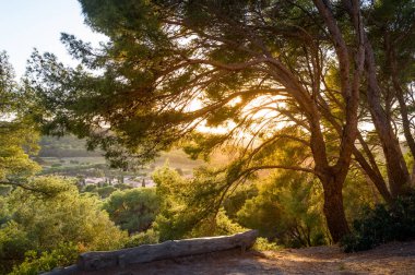 Günbatımı ağaç dallarında. Güzel alanlar ve Porquerolles Islnad tepelerinde