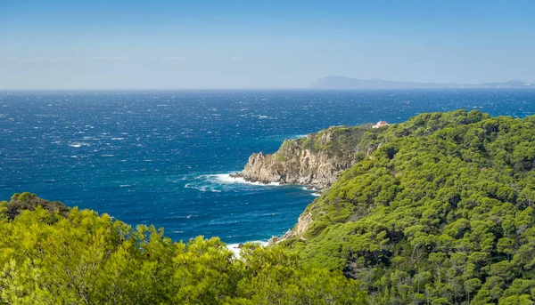 Porquerolles ada manzara — Stok fotoğraf