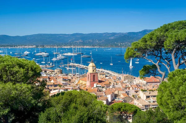 Saint-Tropez eski kasaba ve yat limanı tepedeki kale manzaralı..
