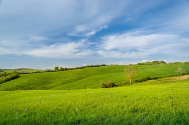 Güzel panoramik Tuscany alanları