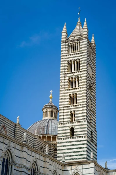 Duomo di Siena Kulesi — Stok fotoğraf