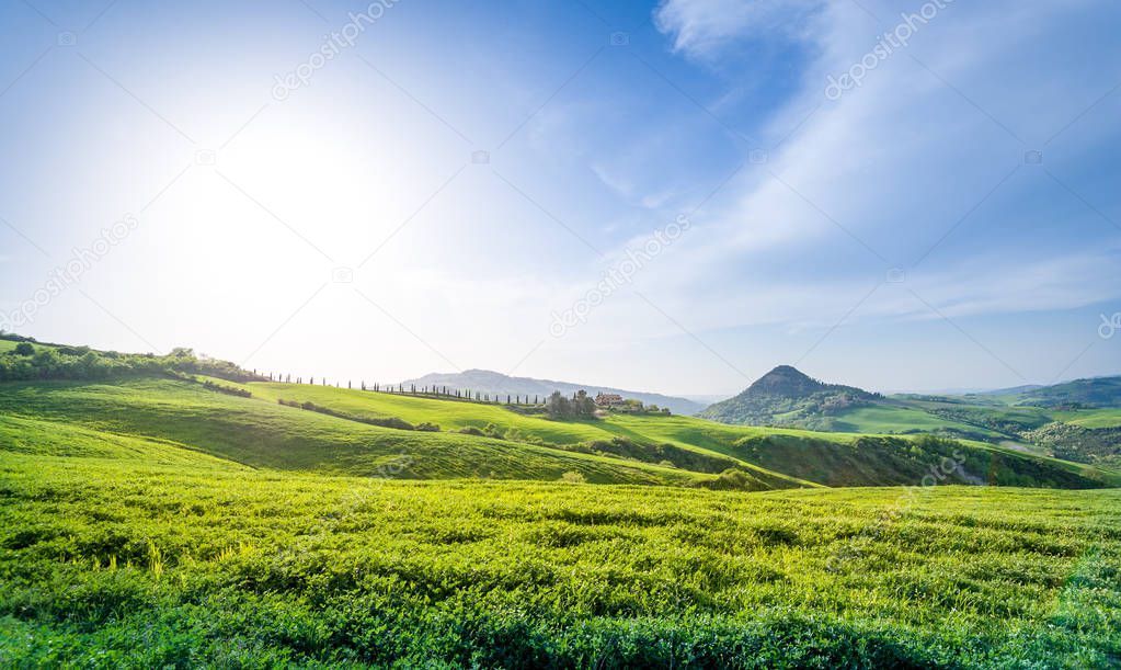 Direct sunlight at italian fields