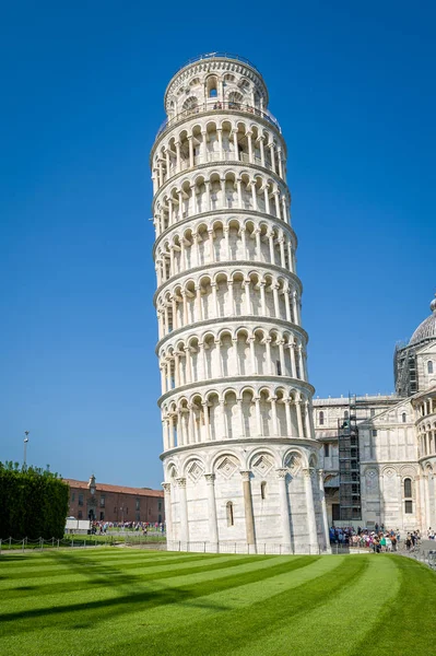 Vertikal syn på Pisa Tower ang ljusa gröna fält nära det — Stockfoto