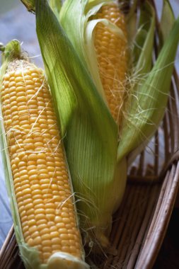 sepet içinde taze Mısır