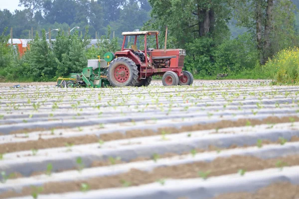 Profilansicht Eines Traktors Mit Einem Kunststofftopf Landmaschinen Die Dem Bauern — Stockfoto