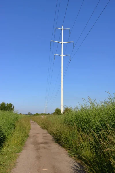 Vertical view of tall, major transmission pole used to distribute electricity, standing next to a rural pathway.