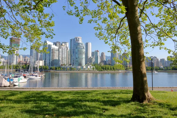 Downtown Vancouver Kanada Och Sin Berömda False Creek Vattnet Genom — Stockfoto