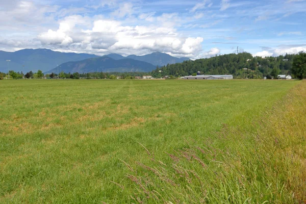 Uma Ampla Vista Panorâmica Das Pastagens Verdes Encontradas Distrito Fraser — Fotografia de Stock