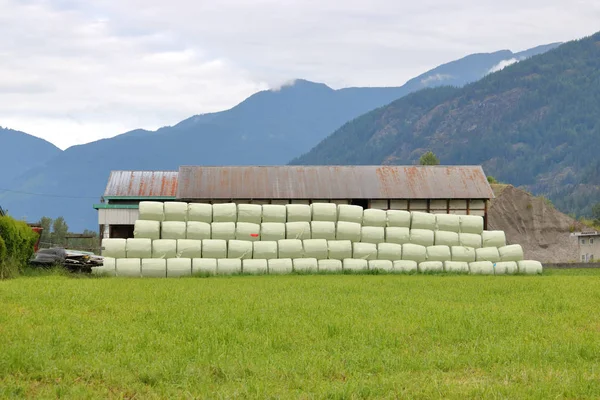 宽视野的干草包堆积在一条长线对一个山谷的谷仓 — 图库照片