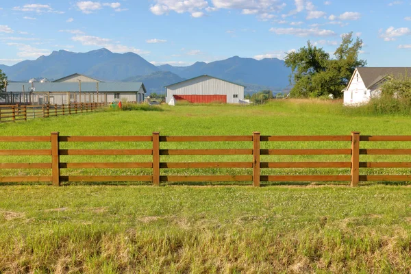 Wide View Small Green Pasture Fenced Part Hobby Farm — Stock Photo, Image