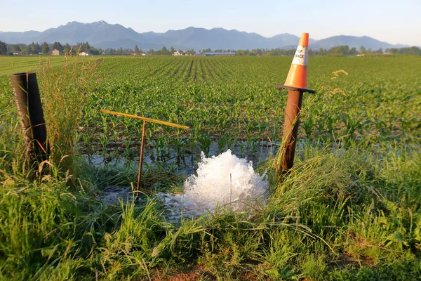 Agua Vierte Través Las Líneas Para Ayudar Mantener Área Circundante —  Fotos de Stock