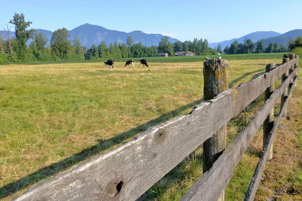 Una Valla Madera Antigua Establecida Encierra Una Vista Panorámica Del —  Fotos de Stock