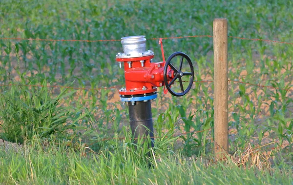 Une Bouche Incendie Rurale Munie Capuchon Métallique Servant Fixer Des — Photo