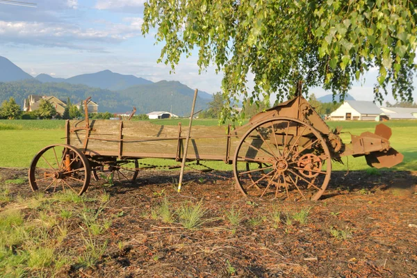 Tarafından Gitti Dönemin Standları Bir Vadide Tarım Arazisinin Önde Gelen — Stok fotoğraf