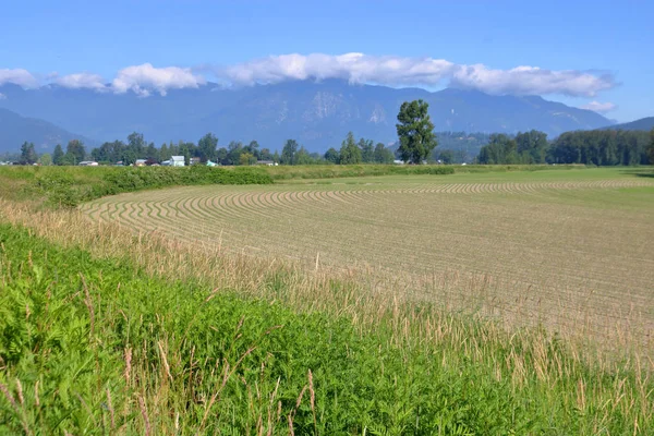 Ampia Vista Del Terreno Agricolo Una Chiara Giornata Primaverile Con — Foto Stock