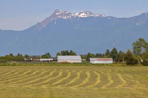 在加拿大西海岸的不列颠哥伦比亚省南部 宽露天积雪覆盖的山地农场土地 — 图库照片