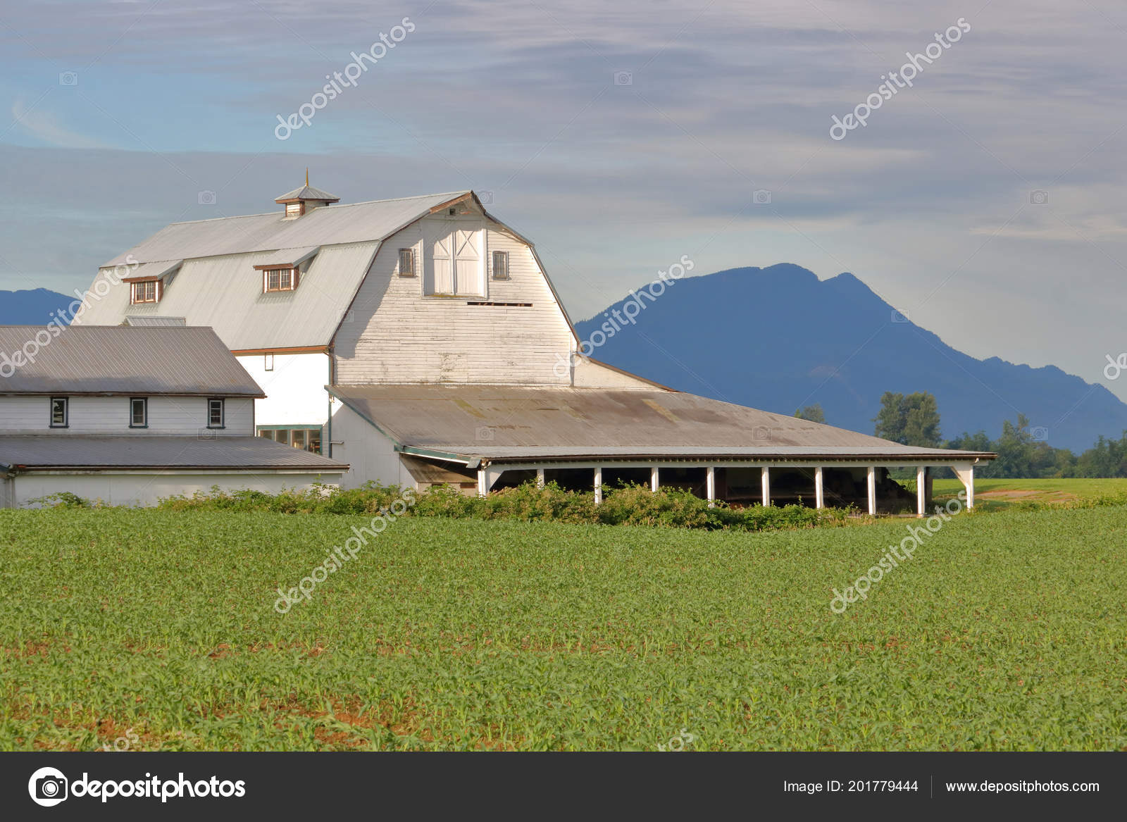 Granero Gambrel Estilo Popular Visto Las Granjas Del Noroeste Del — Foto de  stock #201779444 © modfos, image size:1600x1167