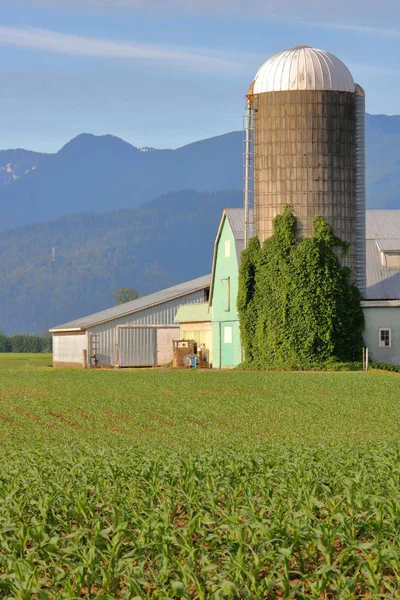 Vertikaler Blick Auf Ein Gut Genutztes Getreidesilo Umgeben Von Landwirtschaftlichen — Stockfoto