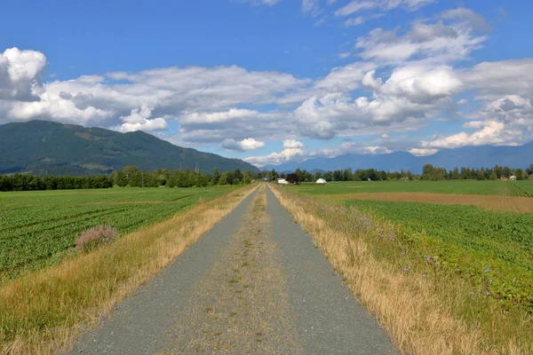 Une Route Rurale Droite Simple Étroite Étend Dans Beau Paysage — Photo