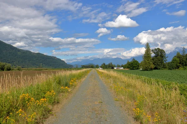 A nature trail provides flood protection in southern British Columbia on Canada's west coast when the local rivers can flood during the Spring melt.