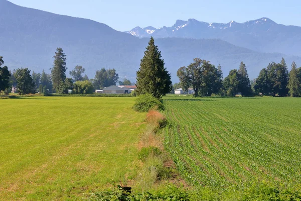 Example Multi Crop Land Use Canada West Coast British Columbia — Stock Photo, Image