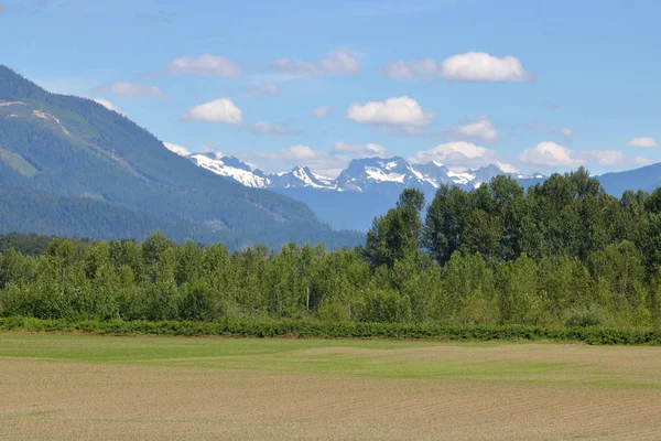 Mountain Peaks Retain Snow Stand Forests Cornfields Summer Months — Stock Photo, Image