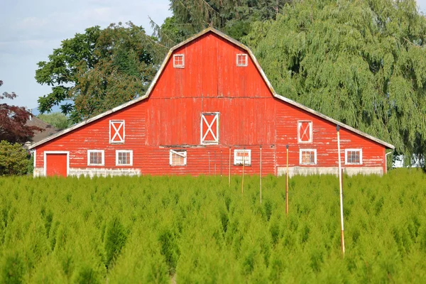 Vista Frontal Completa Tradicional Celeiro Vermelho Norte Americano Atrás Viveiro — Fotografia de Stock