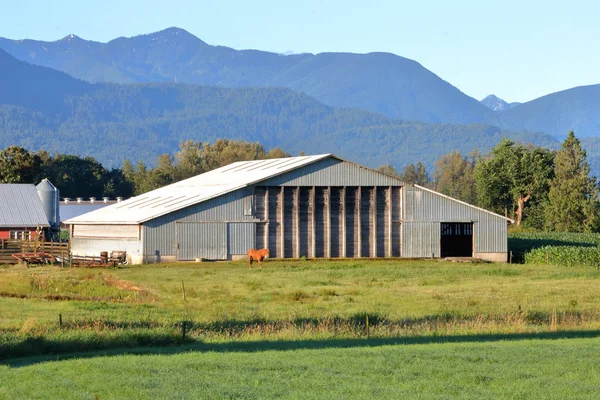 Kırsal Manzara Çiftlik Binaları Meralar Otlatma Arka Planda Tepeler Haddeleme — Stok fotoğraf