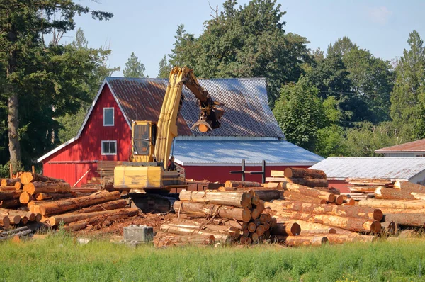 Small Rural Logging Business Heavy Machinery Including Grabber Used Sorting — Stock Photo, Image