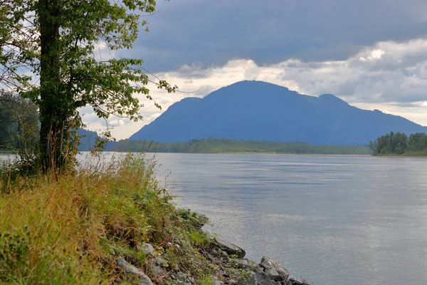 Shoreline Fraser River Evening Hours Major River Runs Province British — Stock Photo, Image