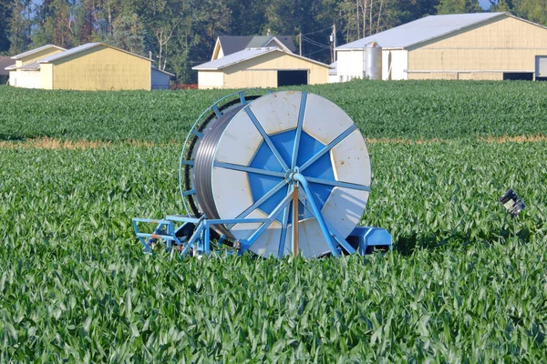 Visão Isolada Completa Carretel Irrigação Industrial Usado Para Abrigar Transportar — Fotografia de Stock