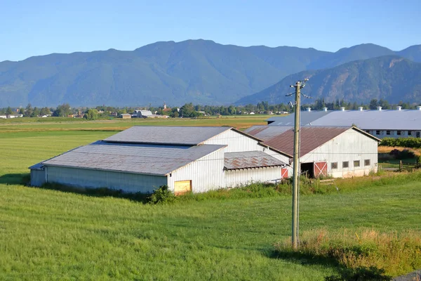 Vue Angle Élevé Pôle Unique Alimentant Une Exploitation Agricole Éloignée — Photo