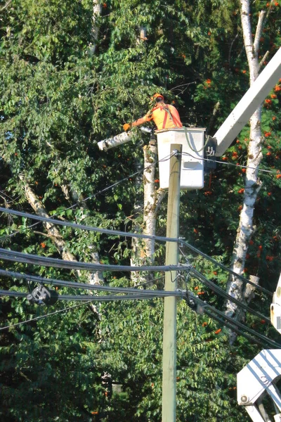 View Landscaper Tree Trimmer Working Aerial Lift Boom Dangers Working — Stock Photo, Image
