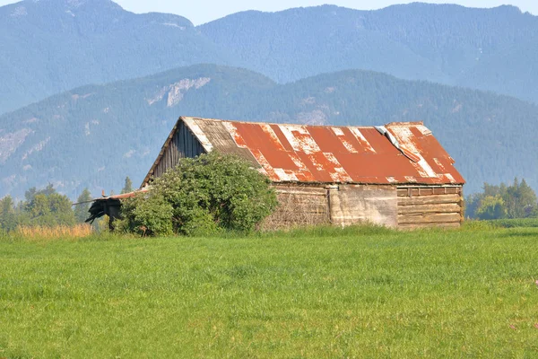 1800 年代中ごろに建てられたログハウスが建てられた前に 一時的な避難所をする意図されていた丸太小屋の広い視野 — ストック写真