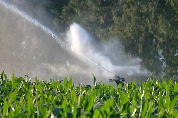 Vista Detalhada Mangueira Irrigação Trajetória Spray Assim Como Martelo Atinge — Fotografia de Stock