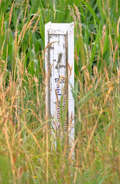 Stäng Översvämning Mätare Trä Markör Som Mäter Vattenstånd Skyms Sommaren — Stockfoto