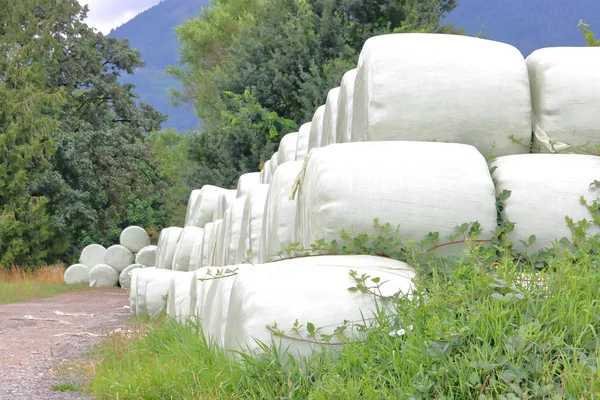 Wide Landscape View Stacked Hay Bales Wrapped Plastic Stored Outdoors — Stock Photo, Image