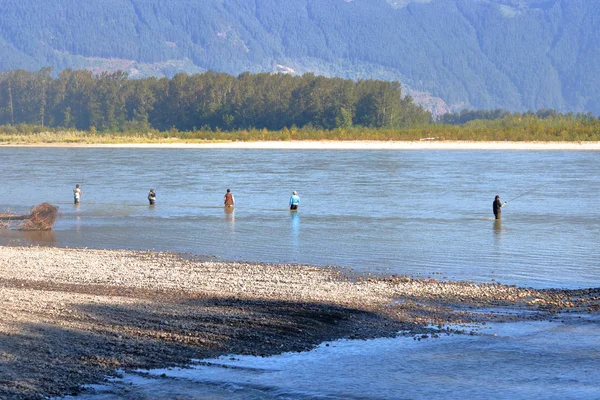 在加拿大西海岸捕鱼的鲑鱼和渔民线的弗雷泽河海岸线尝试他们的运气 — 图库照片