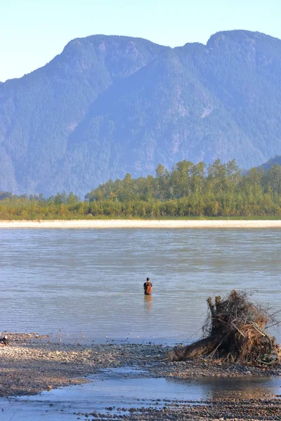 Laxfiske Kanadas Vackra Västkusten Och Fiskare Fraser River Strandlinjen Försöka — Stockfoto